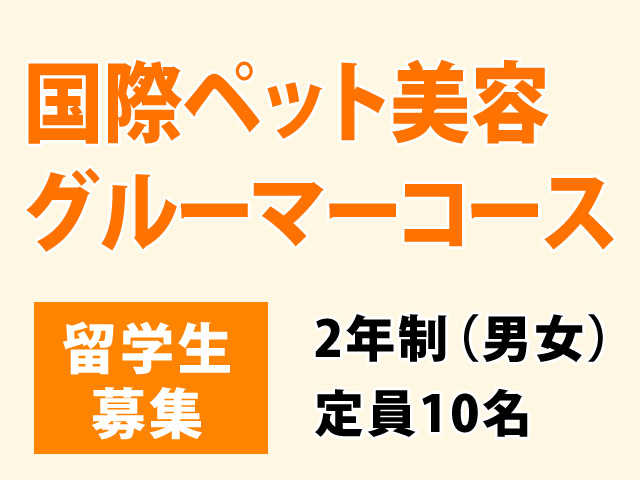 国際ペット美容グルーマーコース