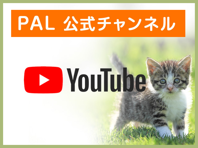 You tube PAL公式チャンネル